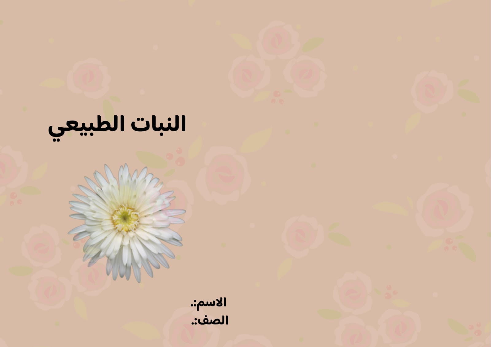 مطوية النبات الطبيعي الصف الخامس ف/3
