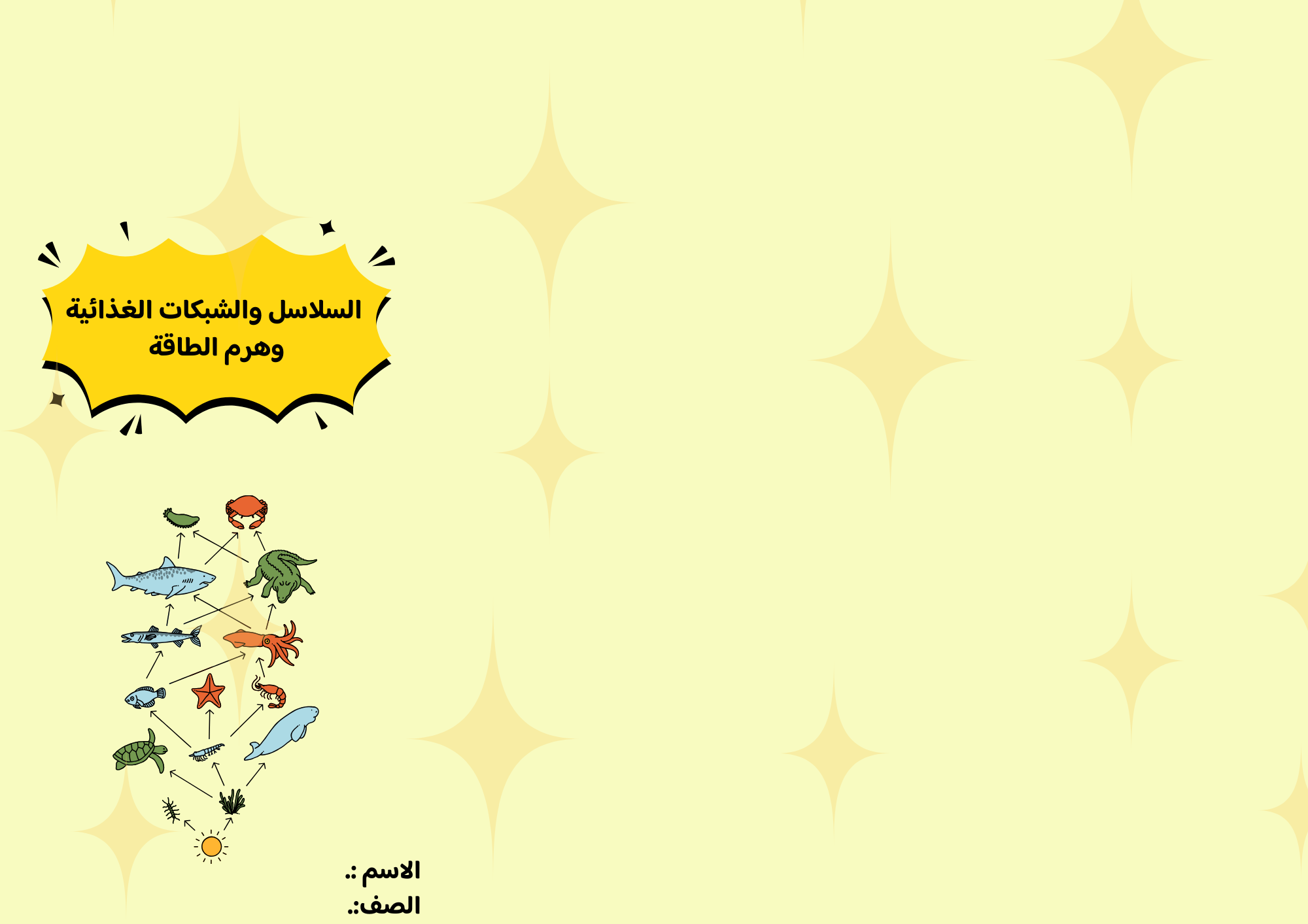 مطوية السلاسل والشبكات الغذائية وهرم الطاقة الصف السادس ف/2
