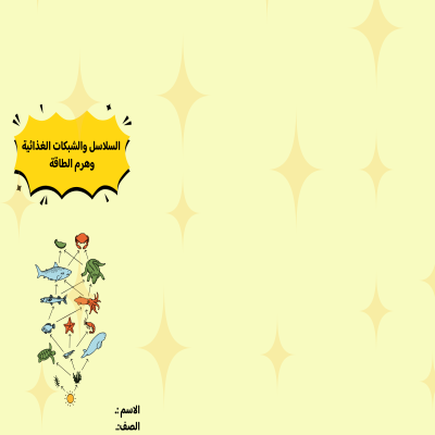 مطوية السلاسل والشبكات الغذائية وهرم الطاقة الصف السادس ف/2